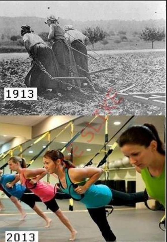 100jahrefitness.jpg