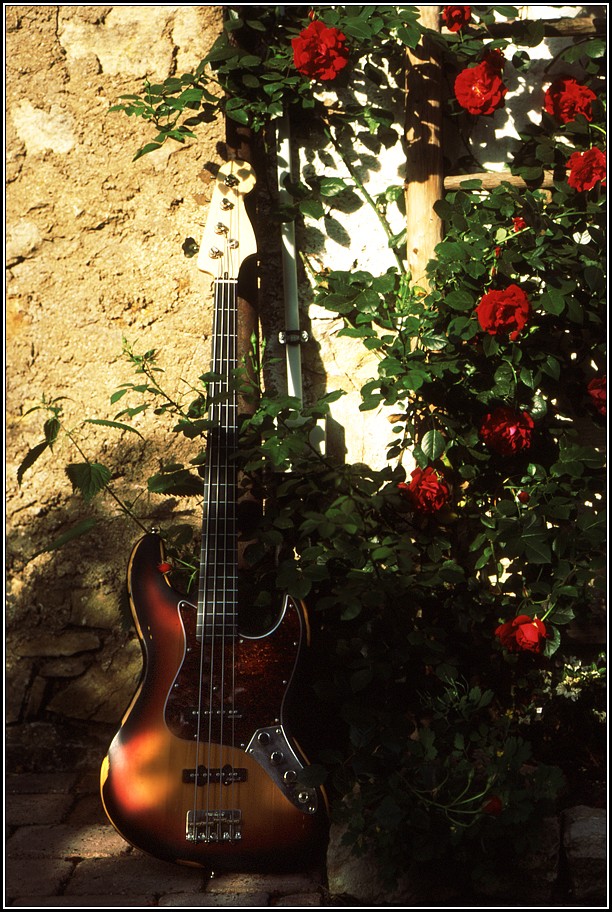 20160615 - Vintage Icon Bass 01.jpg