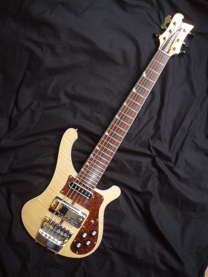 6-String Rickclone-1.jpg