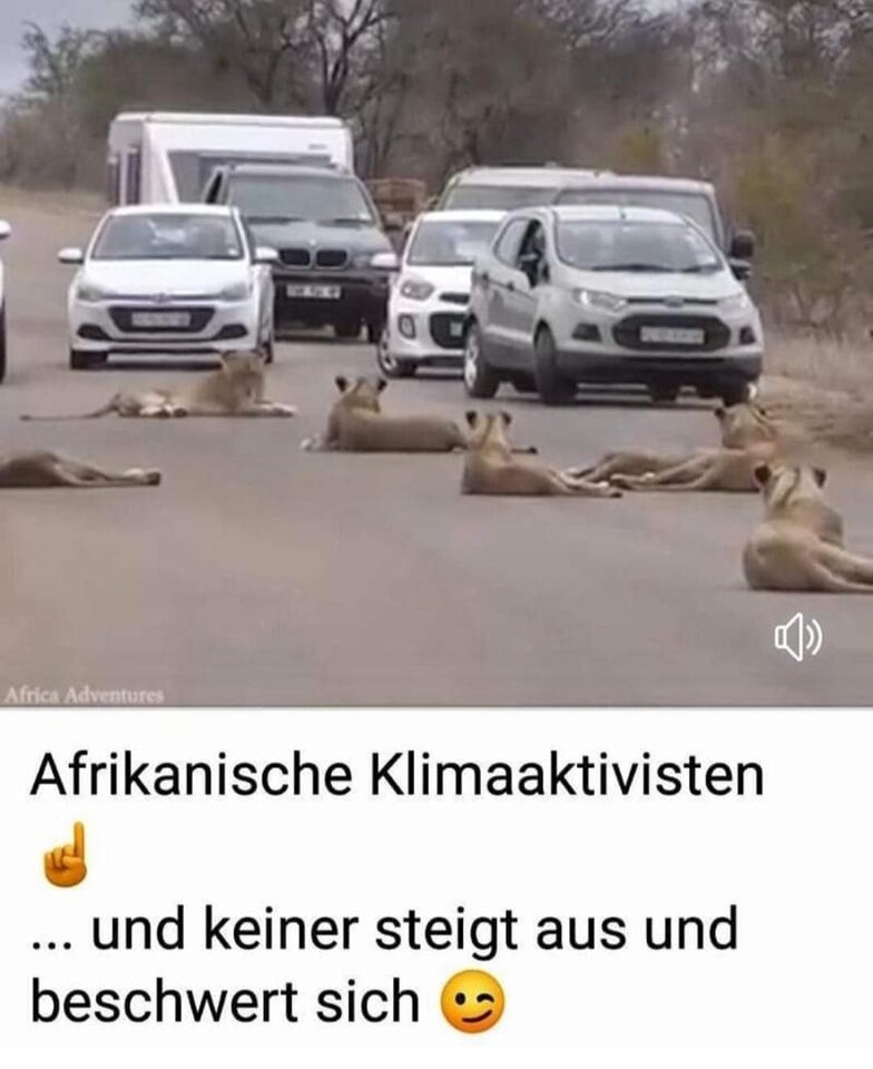 Afrikanische_Klimaaktivisten.jpg