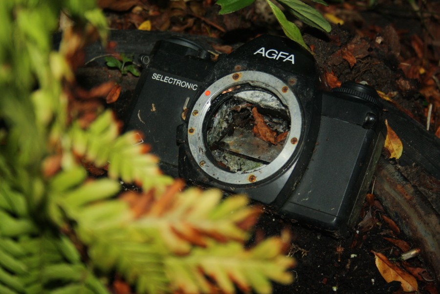 agfa.jpg