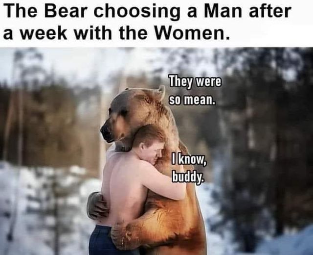 Bear.jpg