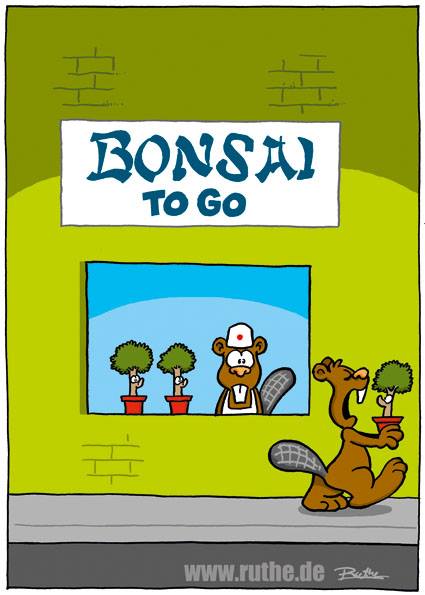 bonsai.jpg