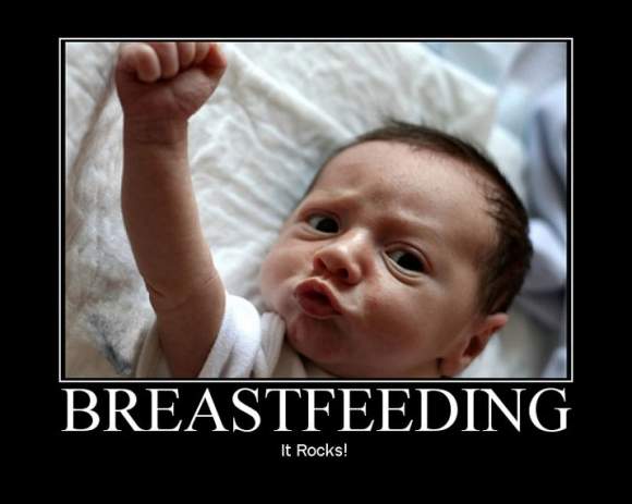 breastfeeding_posters_and_funny_stuff.jpg