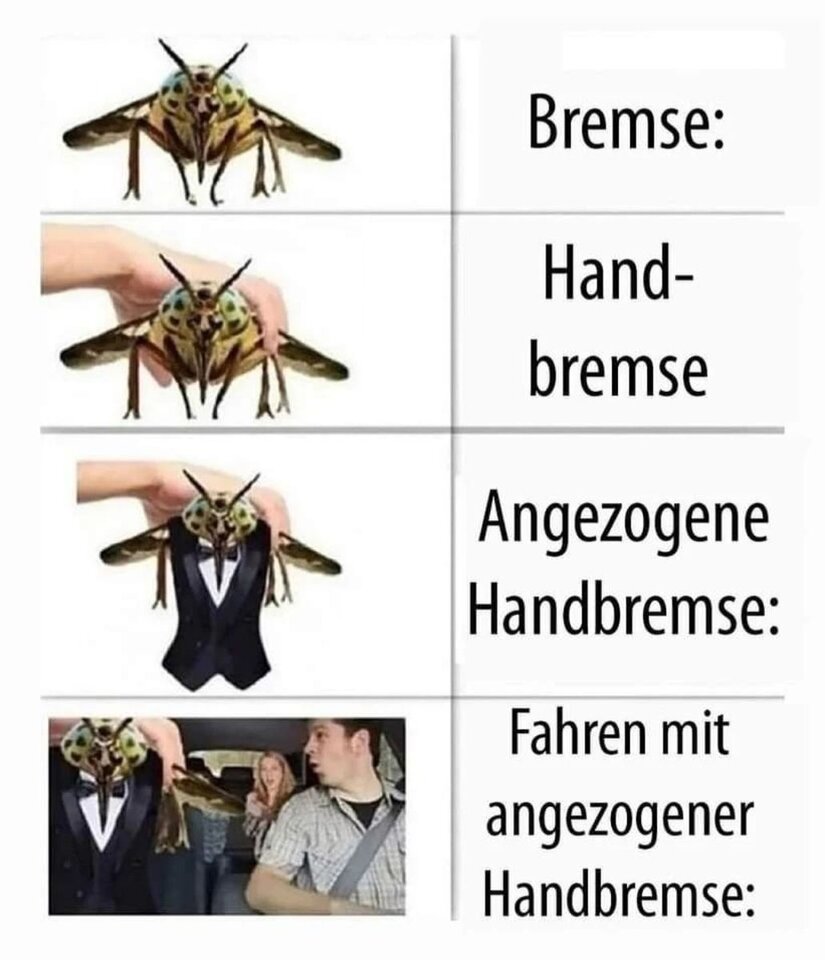 Bremse.jpg