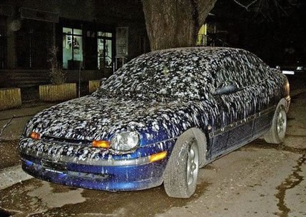 car covered in bird poop dr heckle funny wtf pictures.jpg