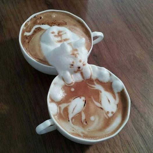 Cat-coffee.JPG