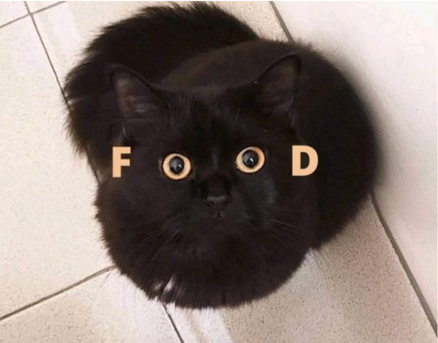 cat food.png