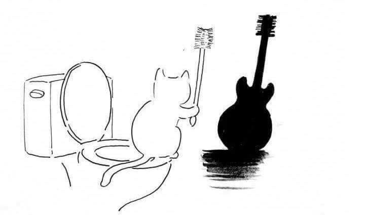 catguitar.jpg