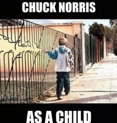 chucknorris.jpg