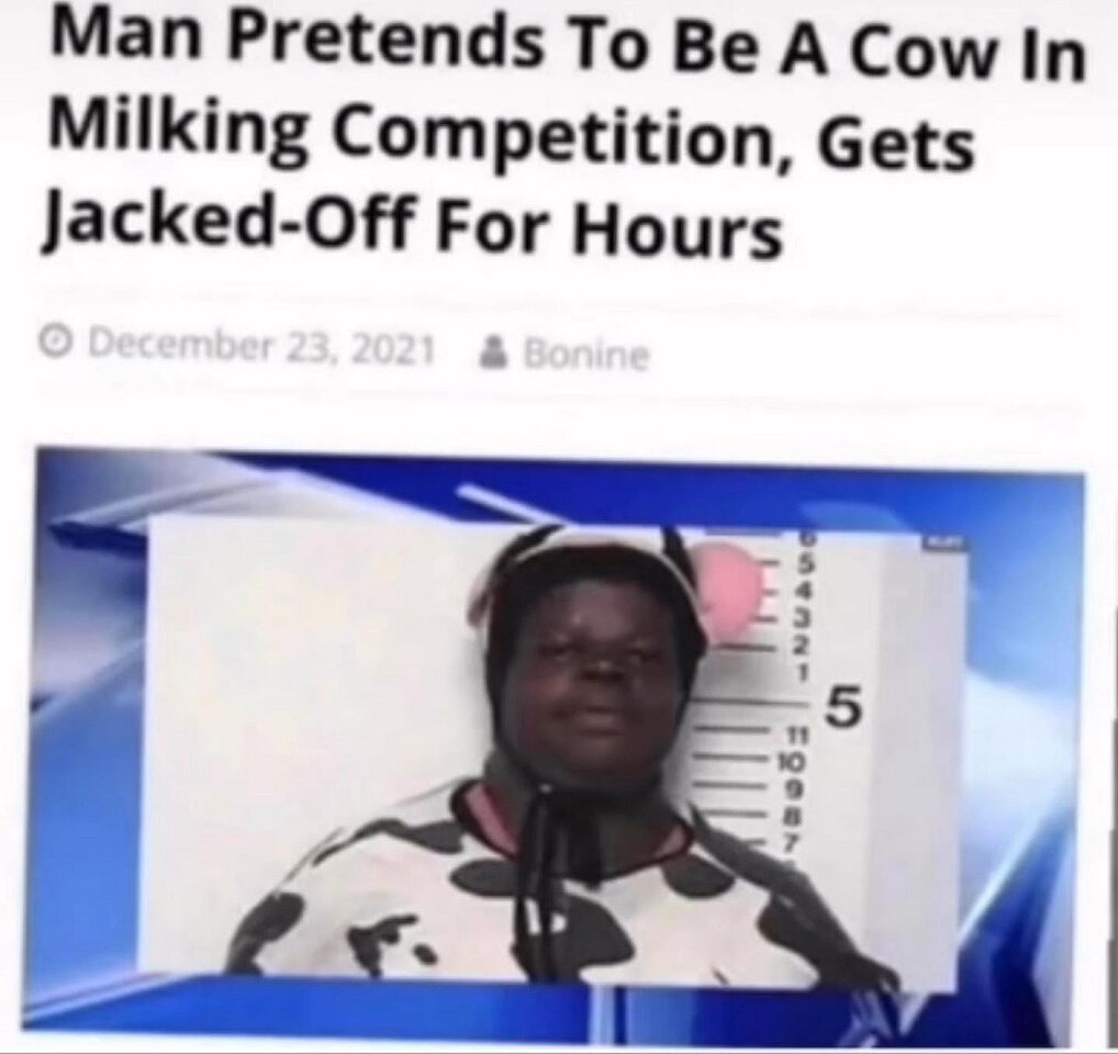 cow.jpg