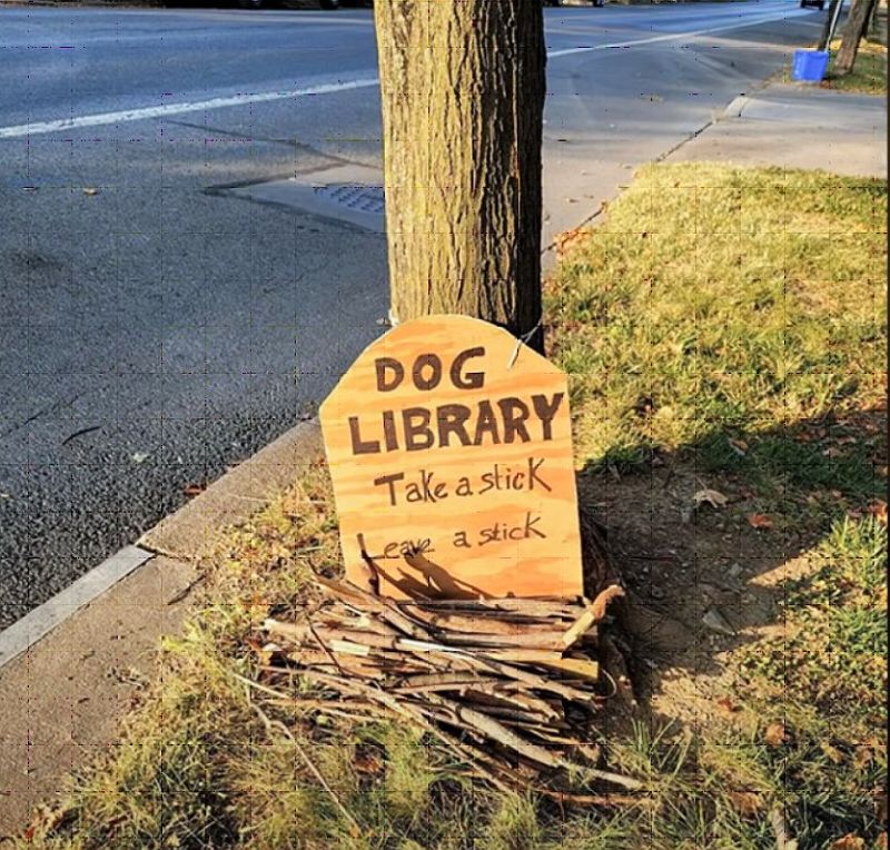 Dog Library_u.jpg