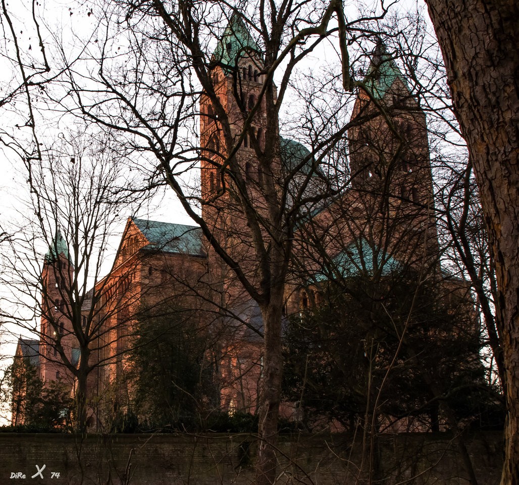 Dom_Speyer_10022020-2.jpg