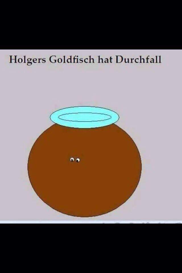 Durchfall.jpg