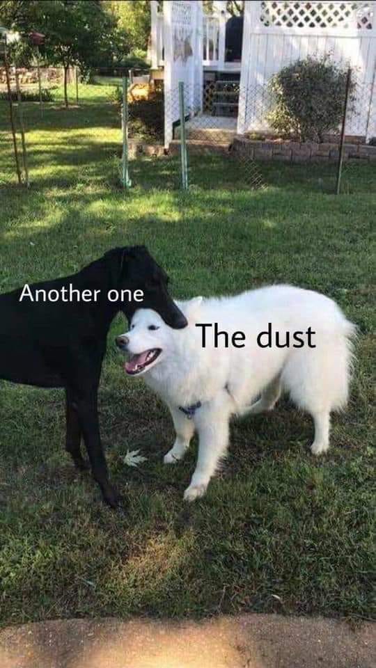 dust.jpg