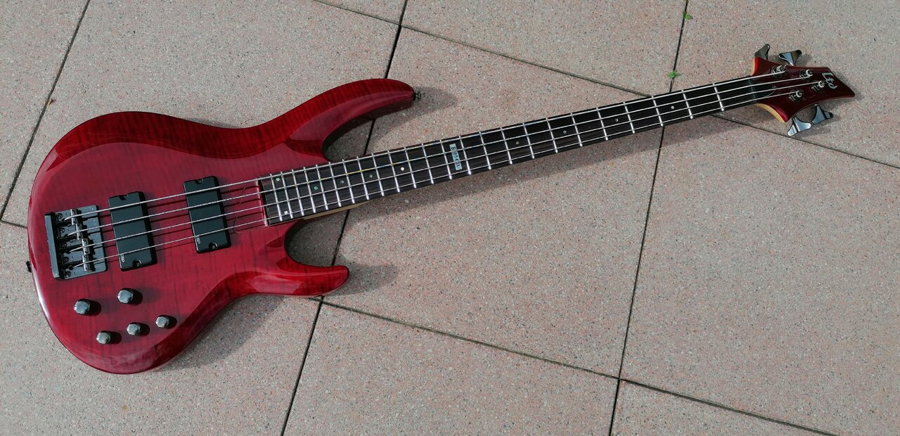 ESP LTD 01.jpg