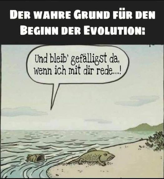 Evolution.jpg