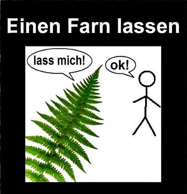 Fahrn lassen.PNG