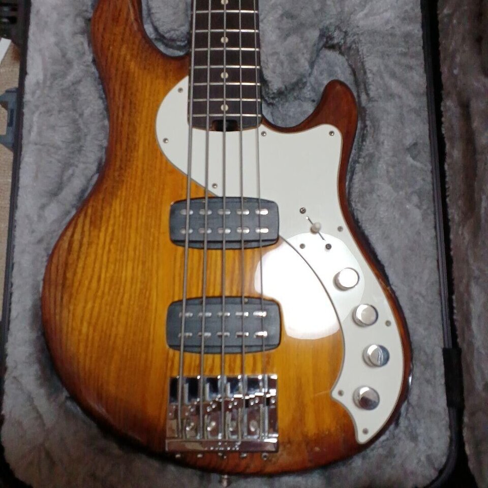 fender dImV de Luxe.jpg