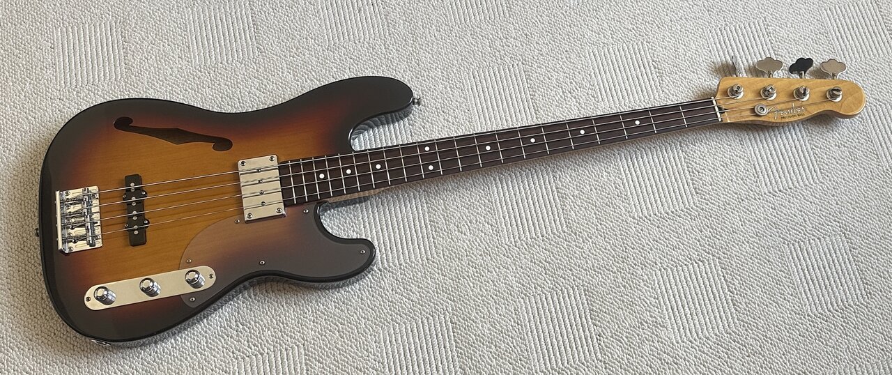 Fender-TNB.JPG