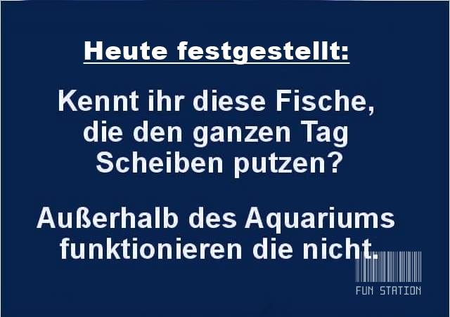 Fische.jpg