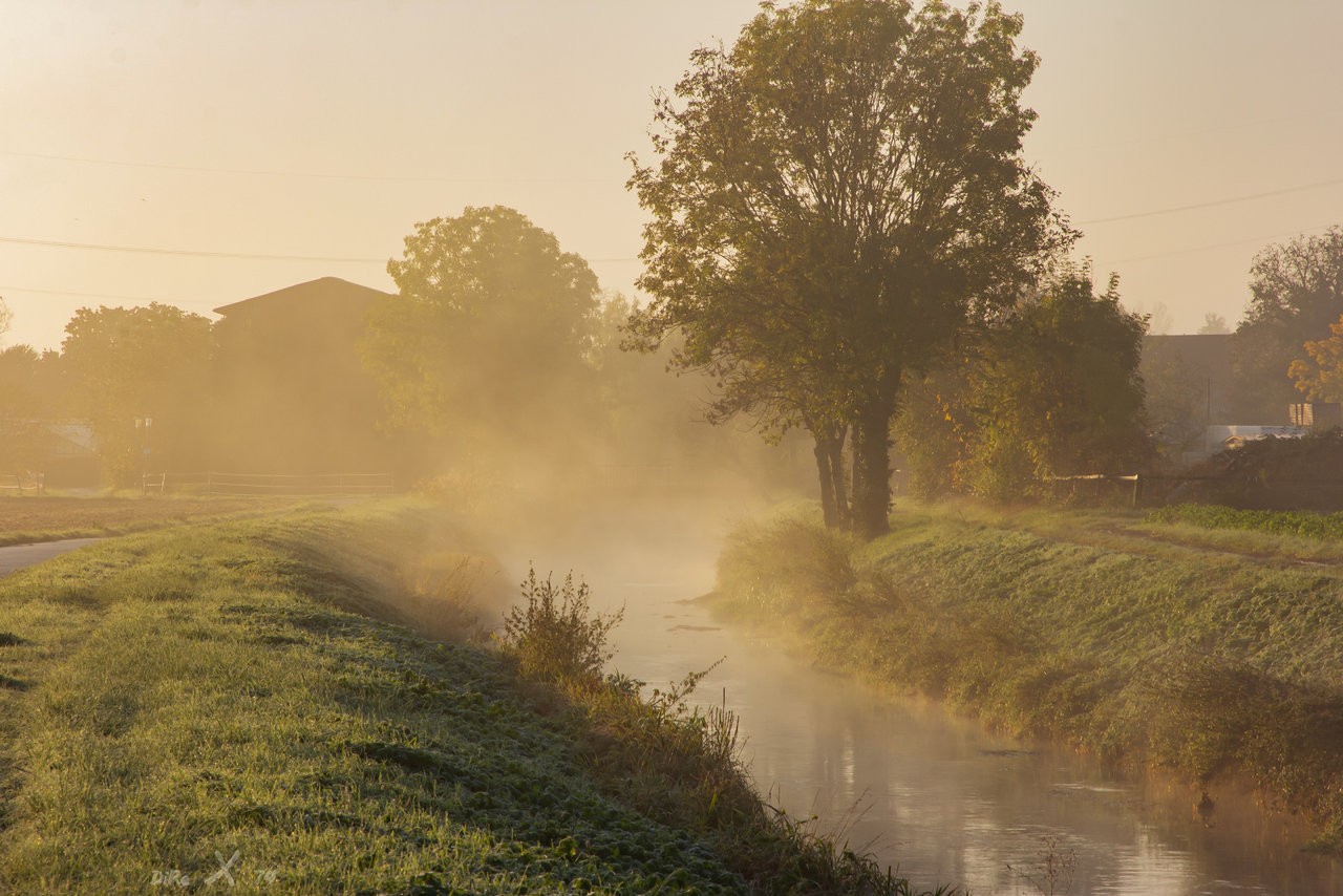 foggy river.jpg