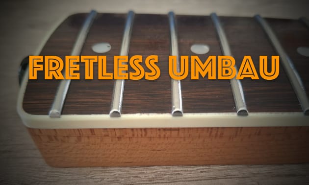 Fretless_Umbau.jpg