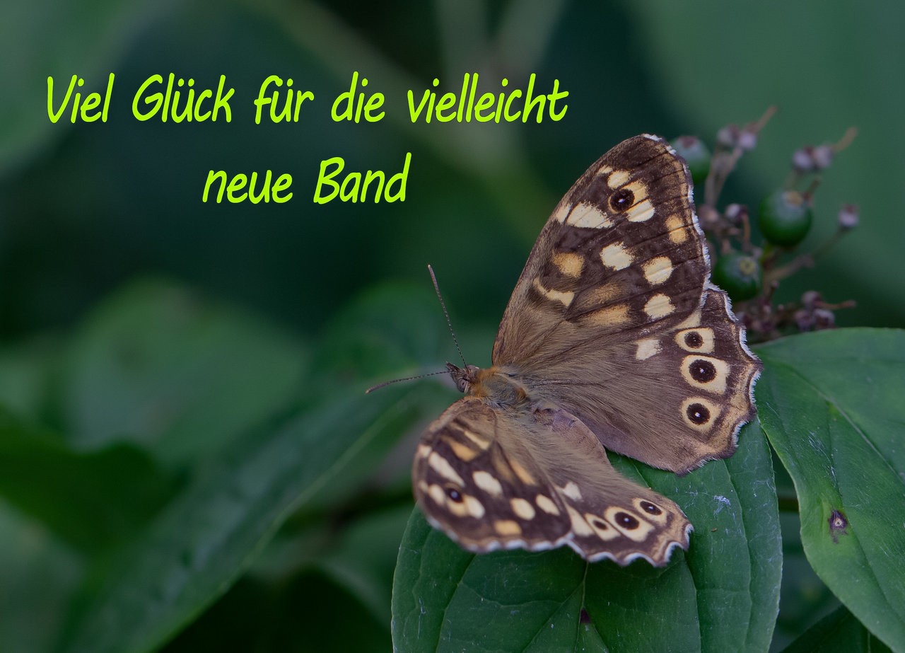 glück-2.jpg