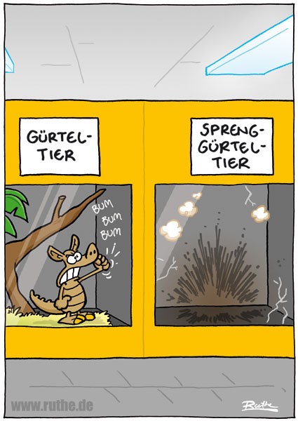 gürteltier.jpg