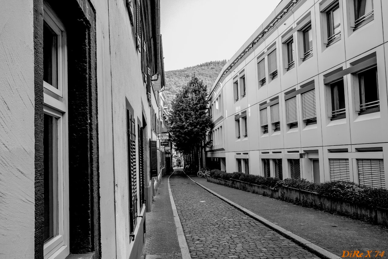 Heidelberg City_11072019-2.jpg