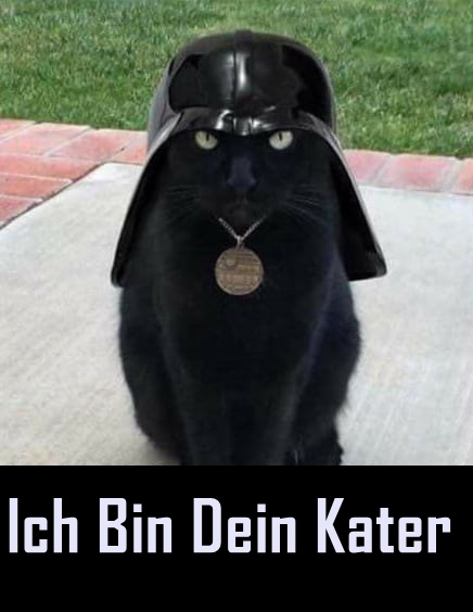 ichbindeinKater.jpg