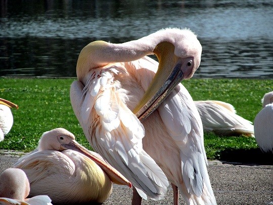 KA_Tierpark_08042018 112.jpg