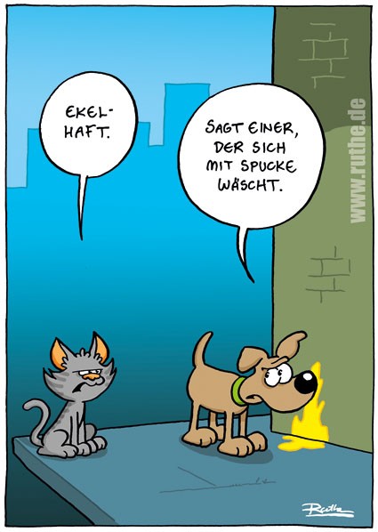 Katze01.jpg