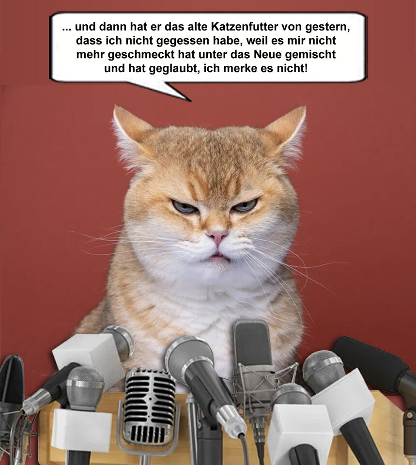 Katzenpressekonferenz2.jpg