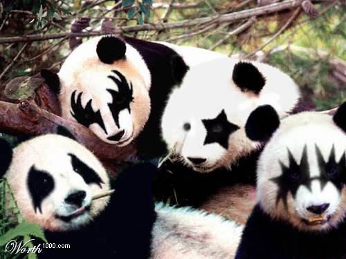 kiss pandas.jpg