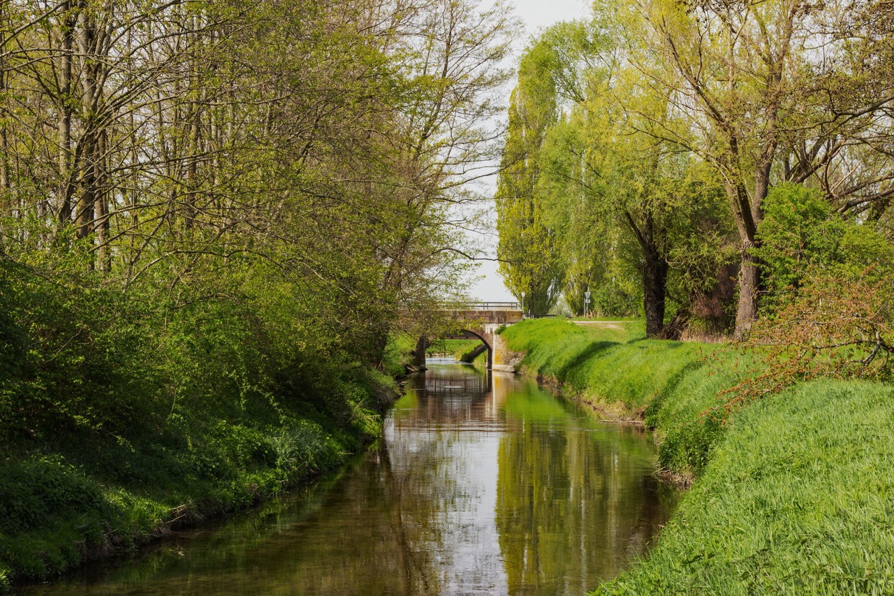 Kraichbach_04062019.jpg