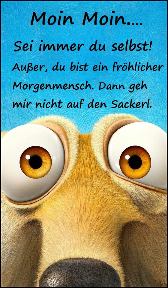 Moin 40_2.jpg