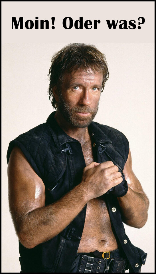 moin chuck-norris.jpg