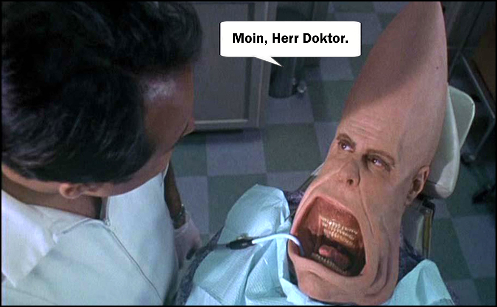 Moin Coneheads12_2.jpg