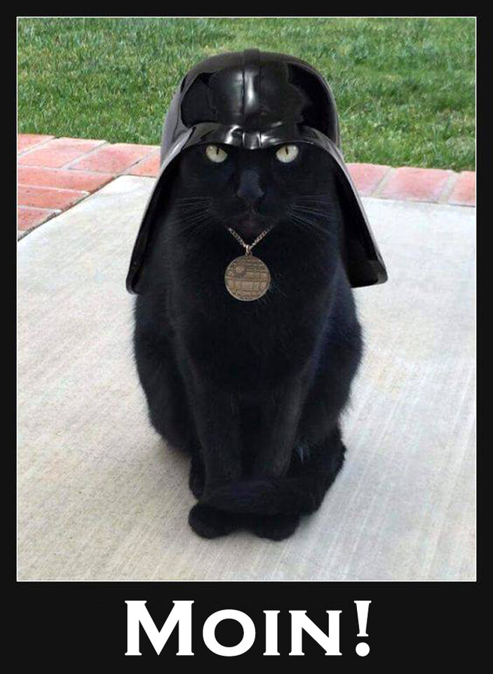 Moin Darth Kater.jpg