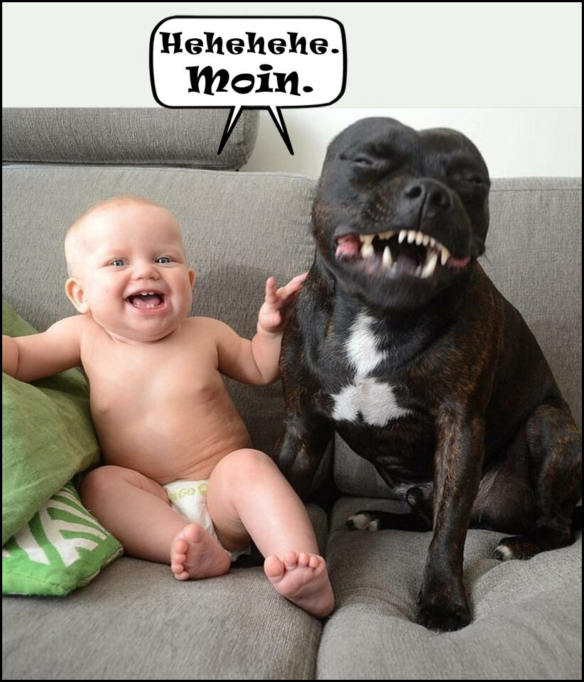 Moin ein baby-und-bulldogge.jpg