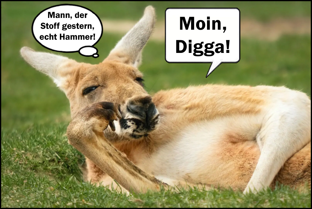 Moin känguru_4.jpg