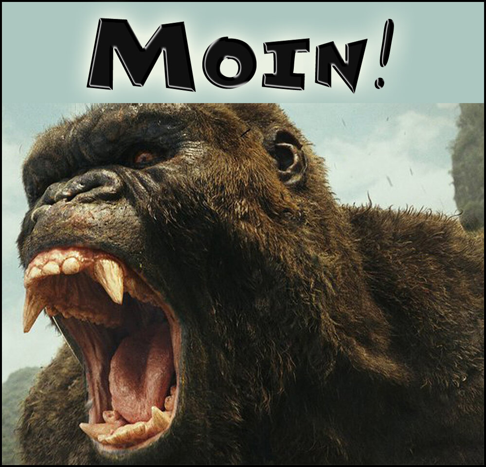 moin king kong3_2.jpg