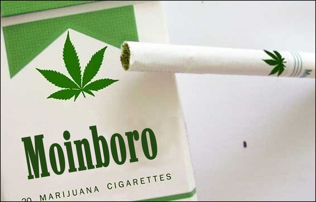 Moin Marlboro Green_1.jpg