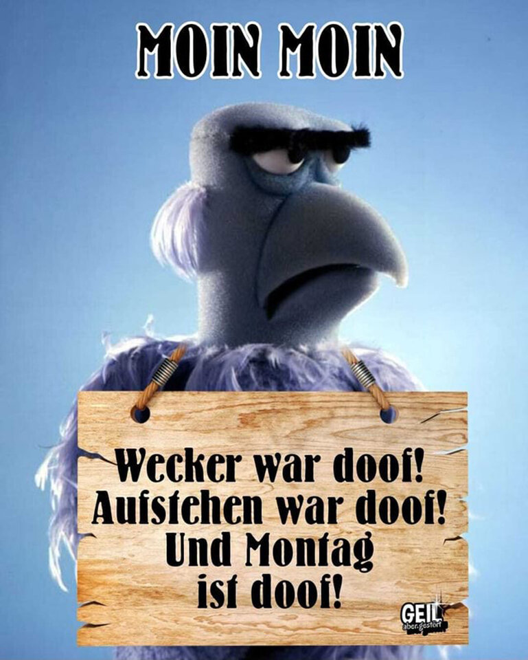 moin-montag2.jpg