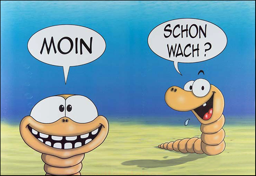 Moin schon-wach_2.jpg