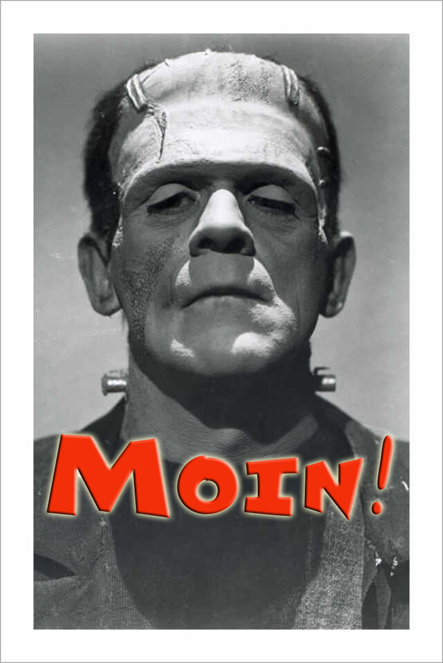 moin_frankenstein1897896_2.jpg