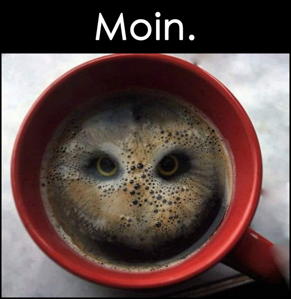 moin_kaffee_eule_2.jpg