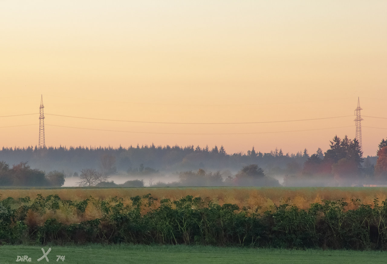 Morgennebel_26102019.jpg