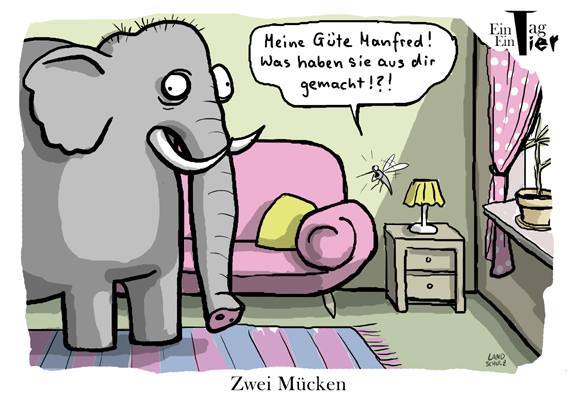 Mücke-elefant.jpg